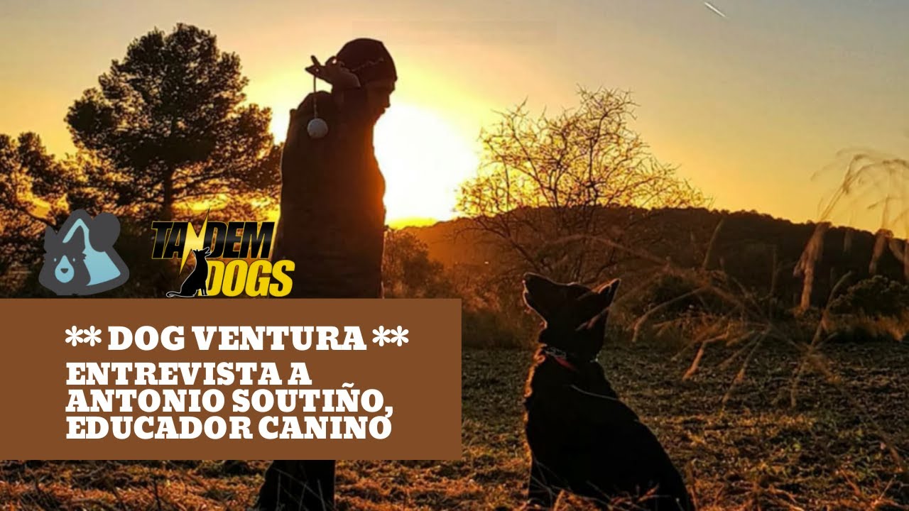 Entrevistas por WhatsApp - 1 - Antonio Soutiño, educador canino