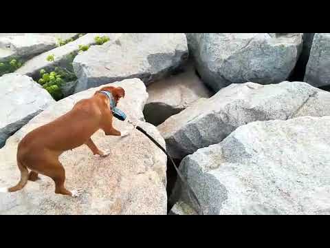 Trabajar la propiocepción en la playa