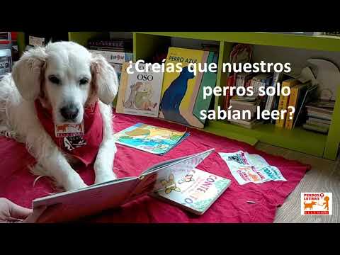 Libro "Perros Lectores" de Perros y Letras