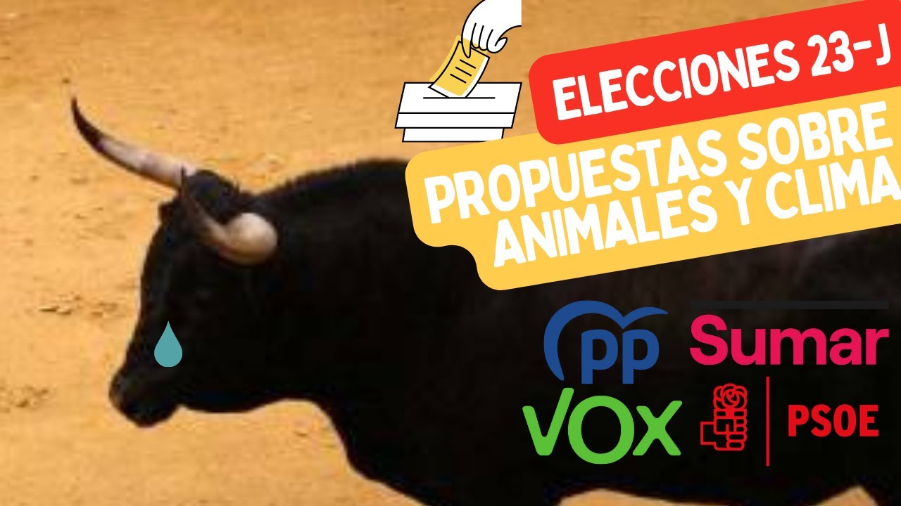 ELECCIONES 2023: Las PROPUESTAS SOBRE ANIMALES y CLIMA para el 23-J