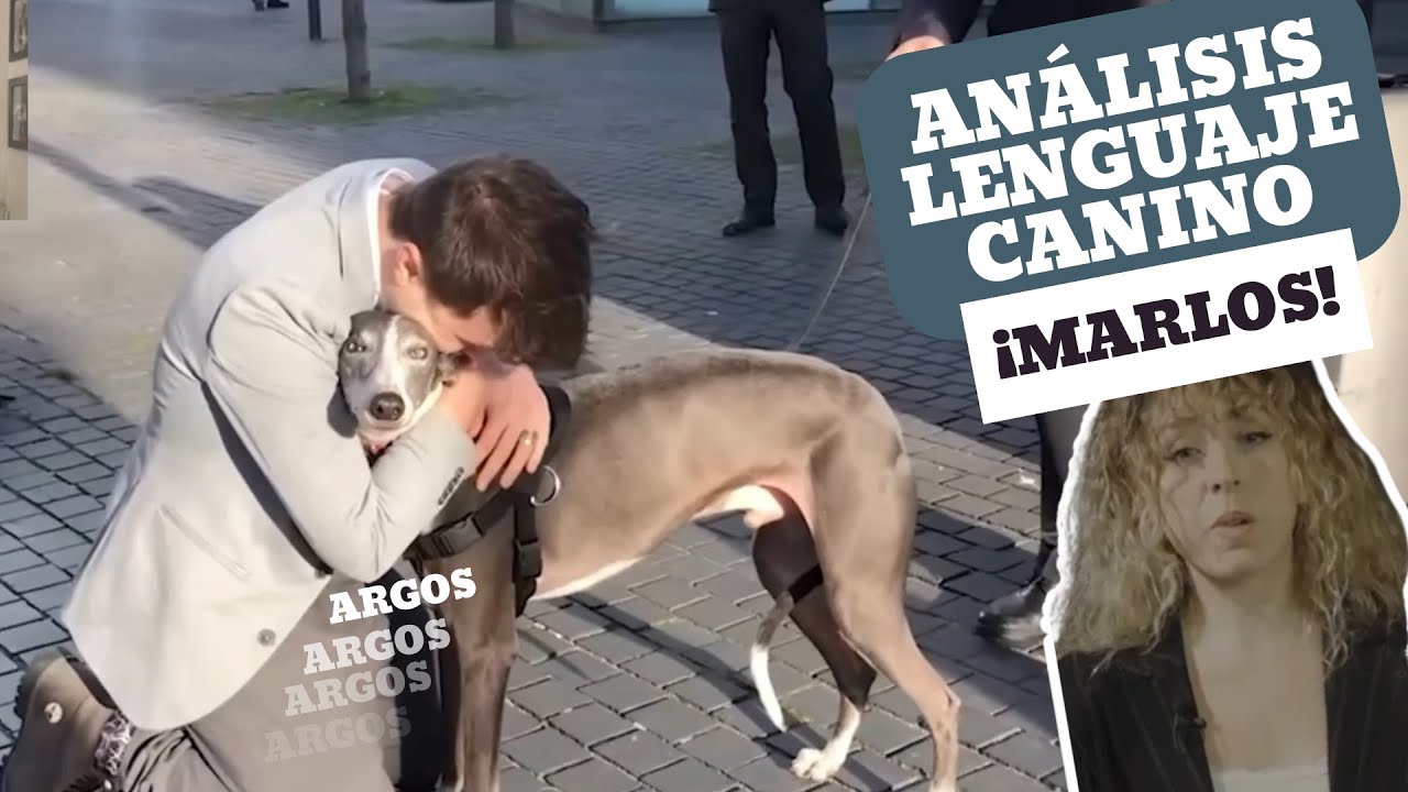 ANALIZAMOS EL VÍDEO DE MARLOS (PERRO de @MiaresProject)