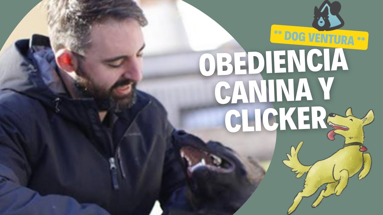 Obediencia canina - Clicker Training & Básicos