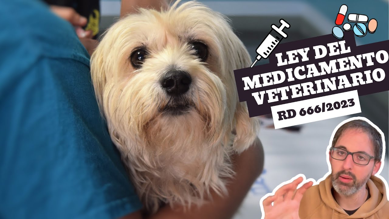 VETERINARIOS CONTRA LA LEY QUE LIMITA ANTIBIÓTICOS (RD 666/2023)