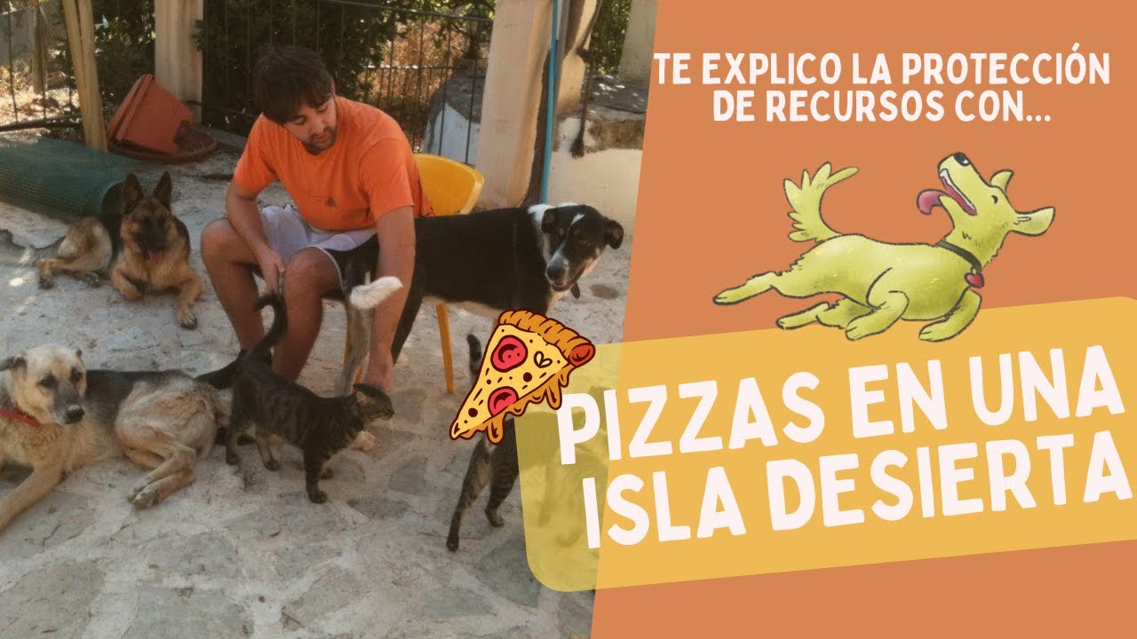 Mi perro me GRUÑE con la COMIDA