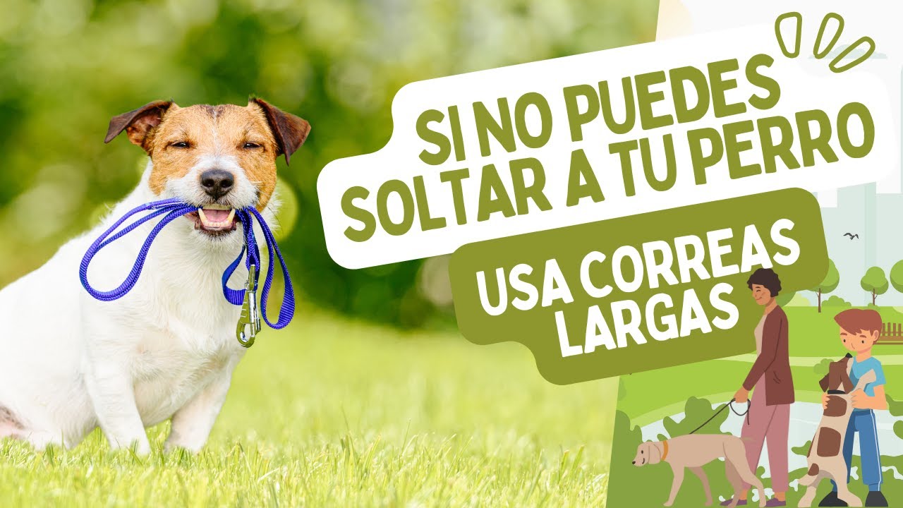 Las CORREAS LARGAS para tu perro = BIENESTAR