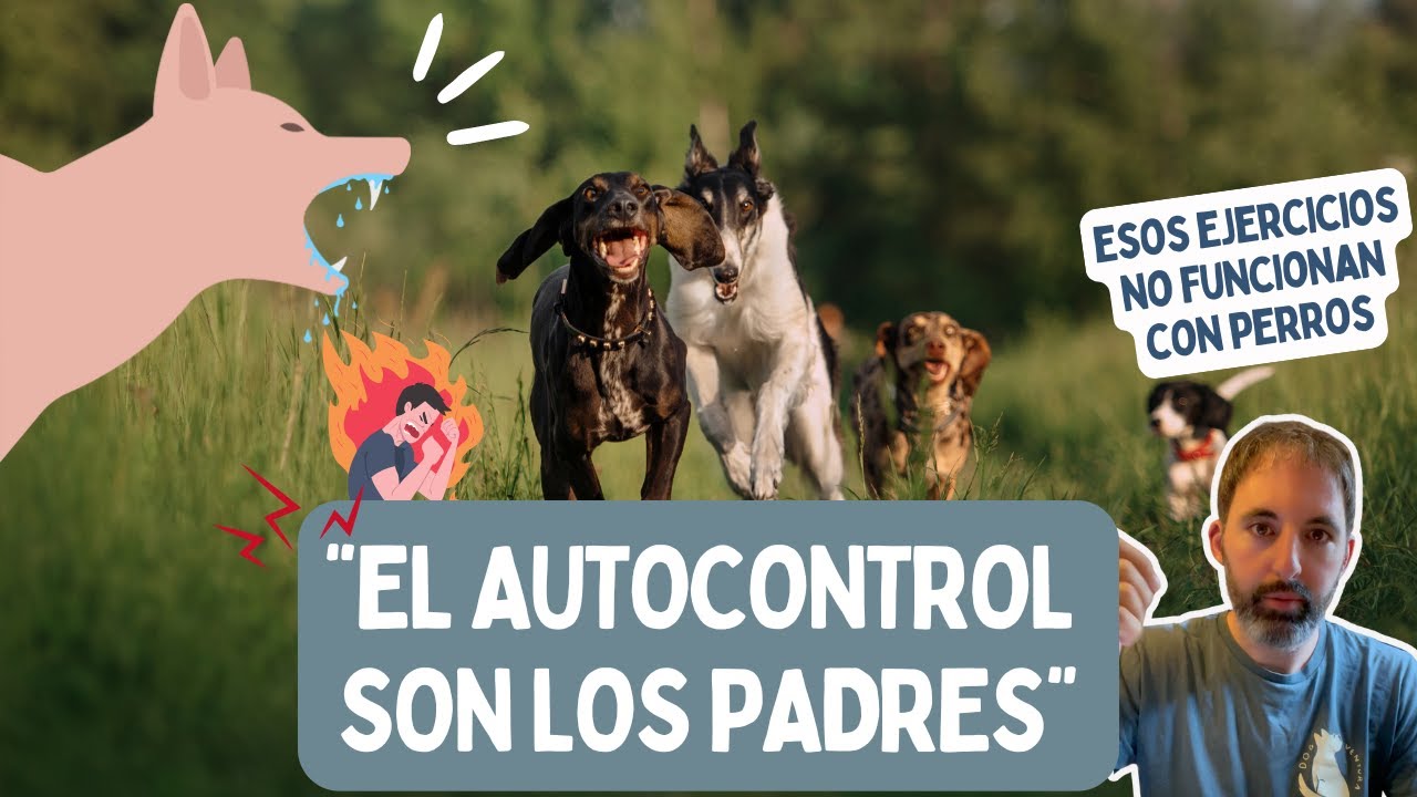 LOS EJERCICIOS DE AUTOCONTROL PARA PERROS NO FUNCIONAN (Y la mayoría no tienen sentido.)