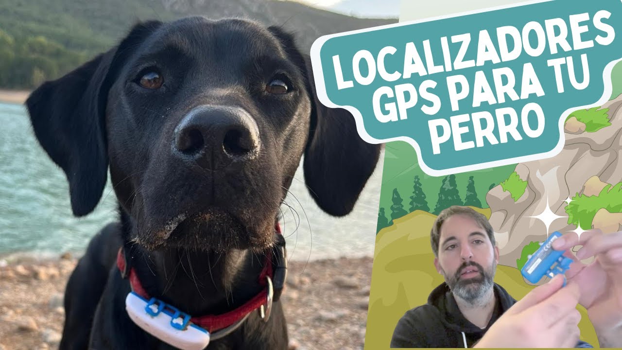 Localizador GPS para tu PERRO - ¿VALE LA PENA?