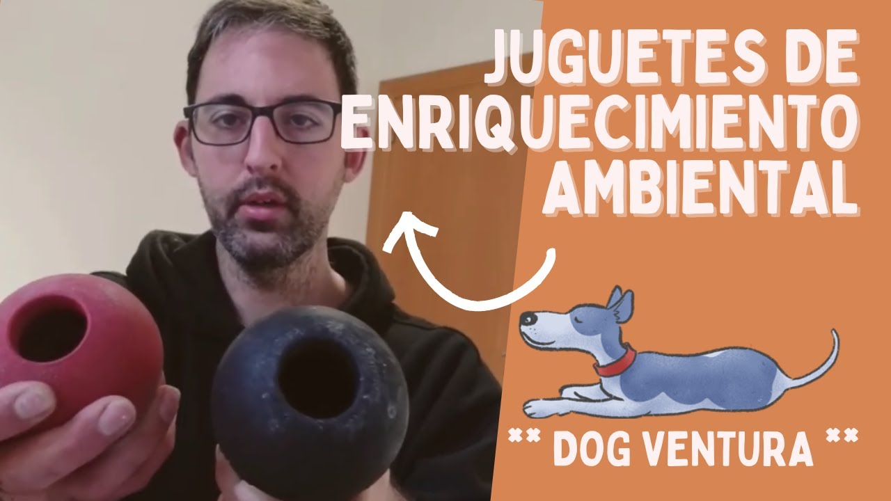 ¿Cuántos juguetes de enriquecimiento ambiental para perros conoces?