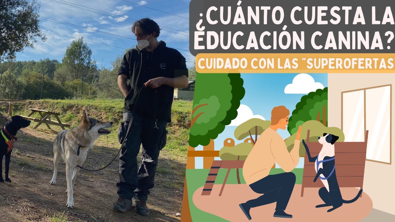 OBEDIENCIA CANINA A 10 EUROS: ¿Son REALES estas ofertas? ¿Qué hay detrás? ¿A quién perjudica?