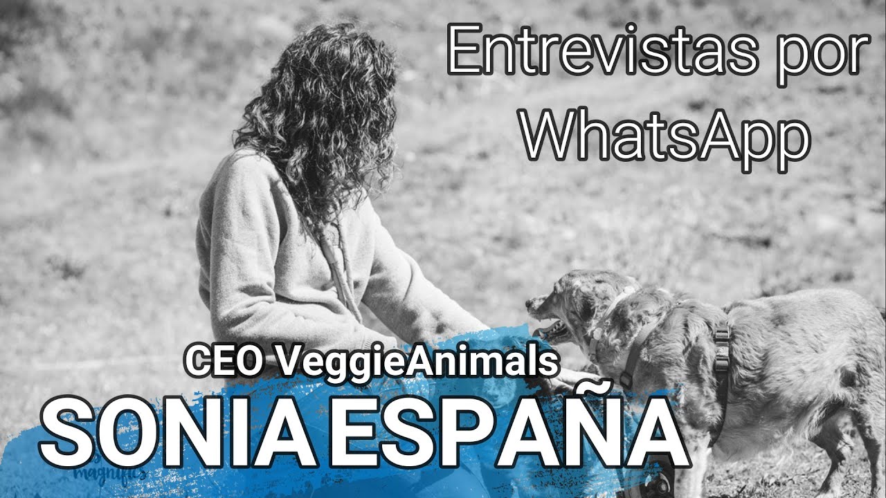 Entrevistas por WhatsApp #4 - Sonia España, de VeggieAnimals