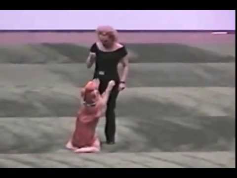 Dog and owner perform a cute Grease dance routine. [VIDEO]