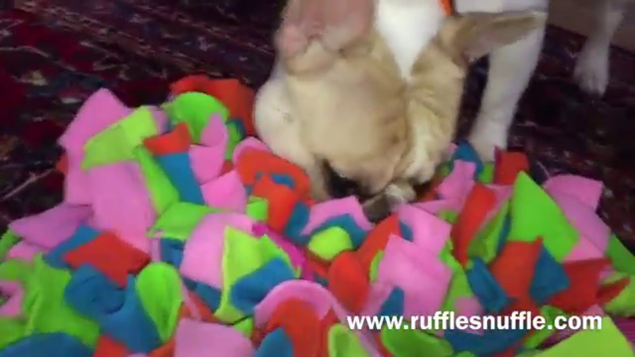 What is a snuffle mat?