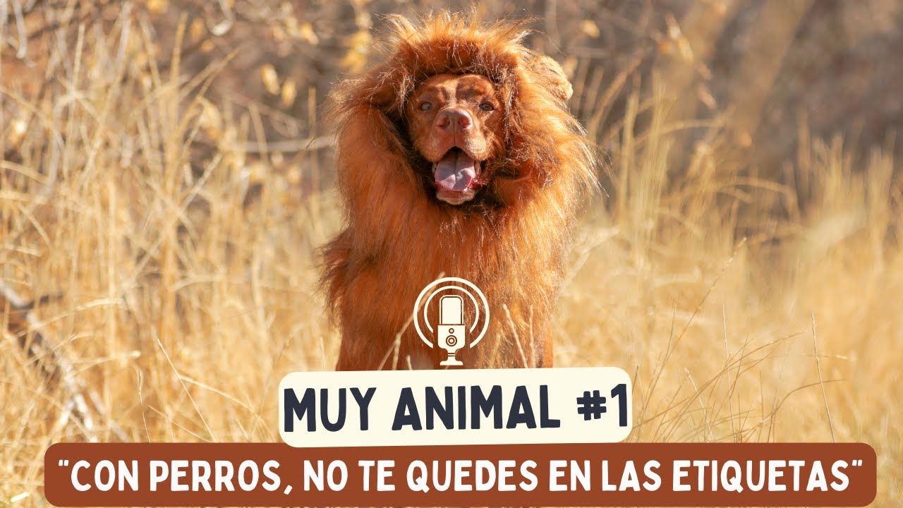 "Tu perro NO MUERDE POR MIEDO"  ⚠️ ¡¡No te quedes en la etiqueta!! (Muy Animal Ep. 1)