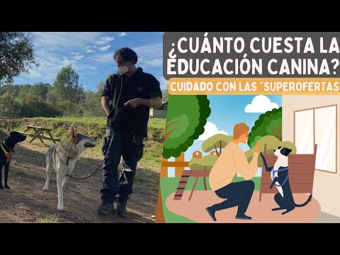 OBEDIENCIA CANINA A 10 EUROS: ¿Son REALES estas ofertas? ¿Qué hay detrás? ¿A quién perjudica?