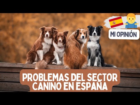 Problemas del SECTOR CANINO en España 😵💫 (Opinión y análisis personal)