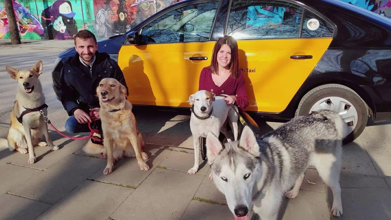 Entrevistas por WhatsApp - 2 - Jose y Aída de Mascotaxi BCN