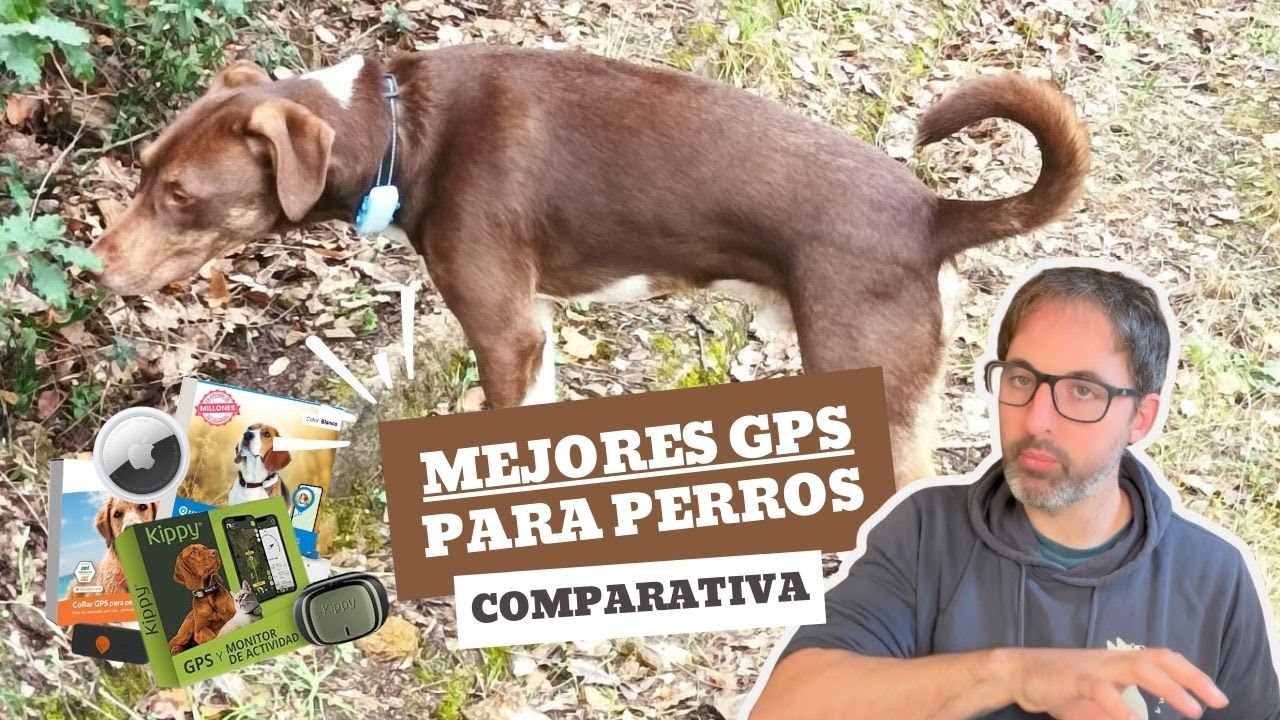 MEJORES LOCALIZADORES GPS PARA PERROS - COMPARATIVA 2025