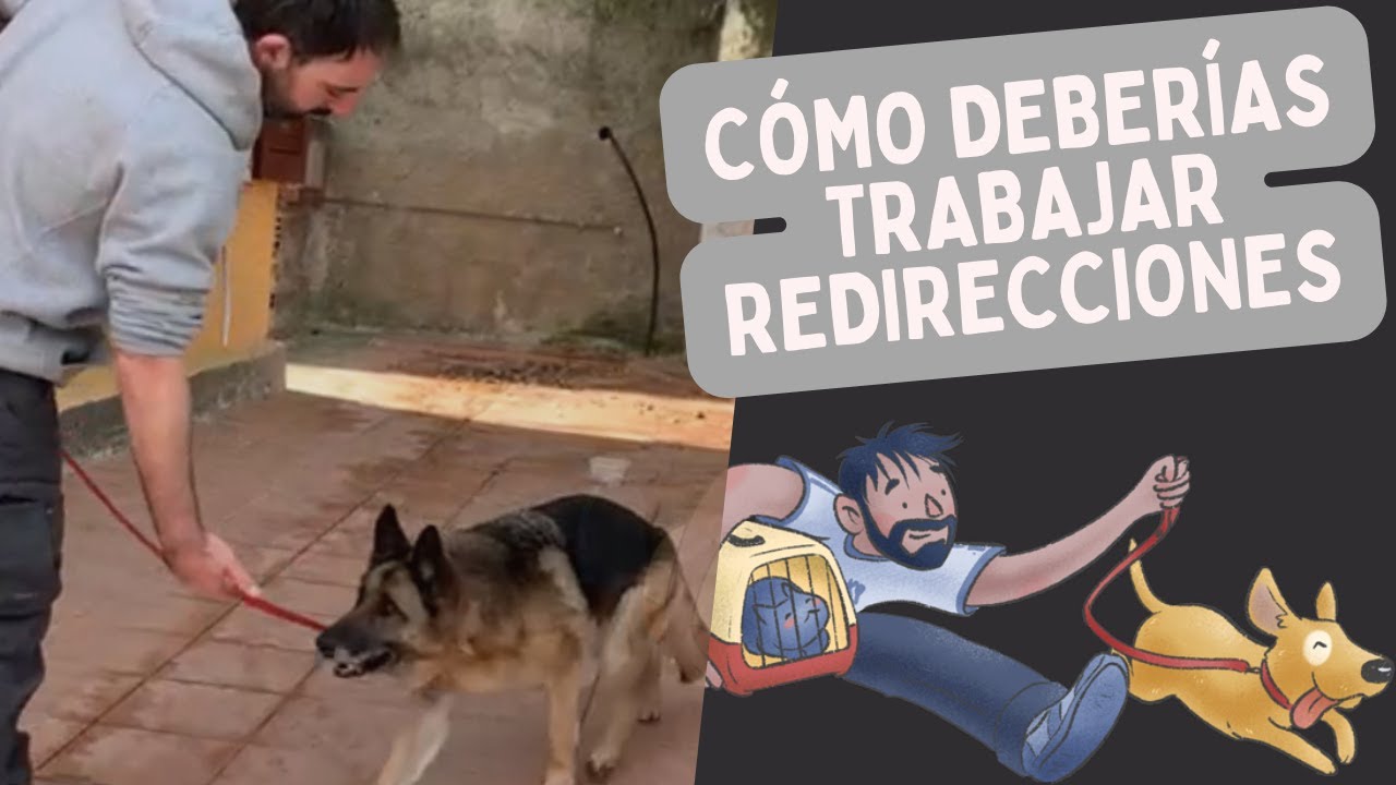 Ejercicio de redirecciones (autónomas, verbales y táctiles)
