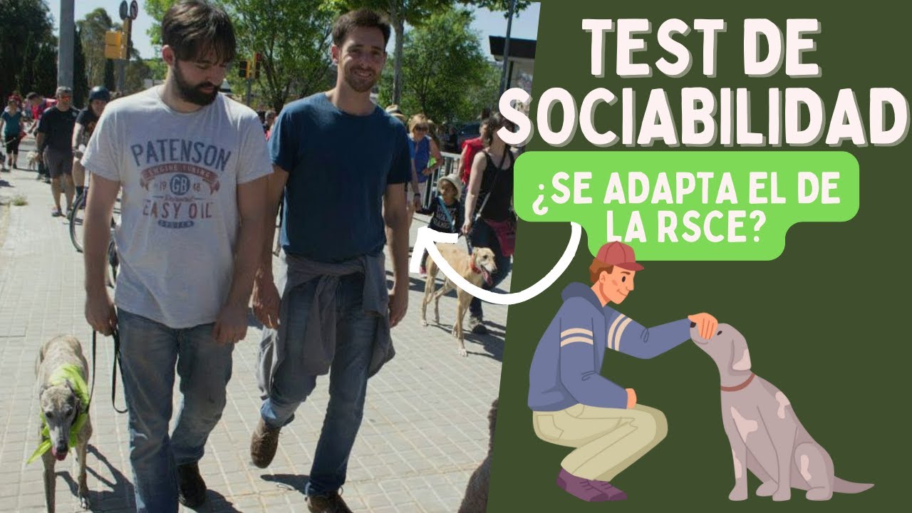 ¿El TEST DE SOCIABILIDAD de la RSCE para todos los PERROS? ¡Lo DUDO mucho!