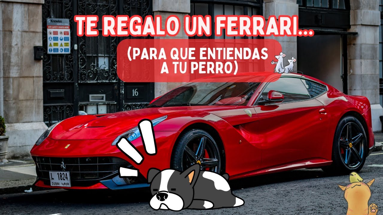 La PRIVACIÓN O ESCASEZ EN PERROS 🐶 ❗❗