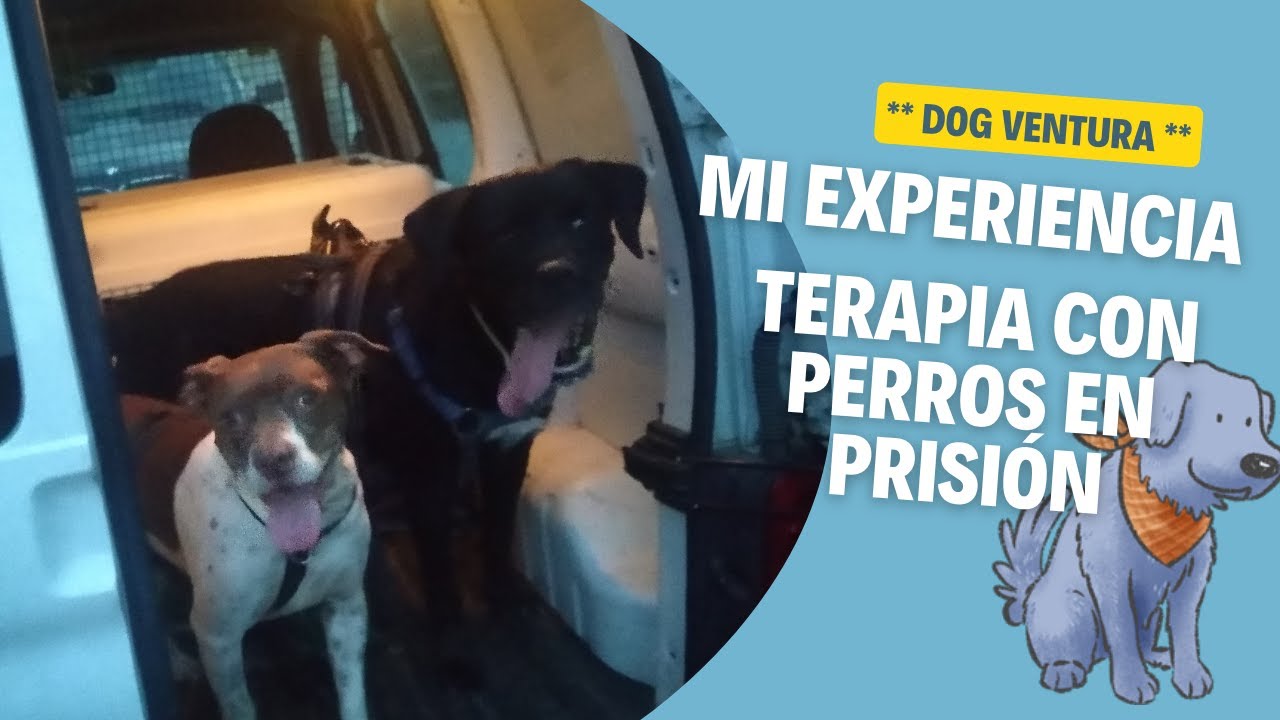 Mi experiencia en Terapia Asistida con Animales en prisión (TAA)