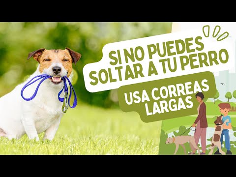 Las CORREAS LARGAS para tu perro = BIENESTAR