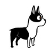 Gestualidad canina - Señales de calma - Postura de alerta