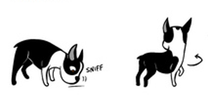 Gestualidad canina - Señales de calma - Girar la cabeza o irse
