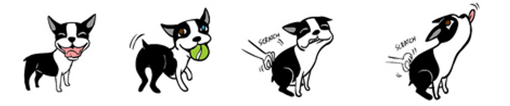 Gestualidad canina - Señales de calma, juego, bienestar
