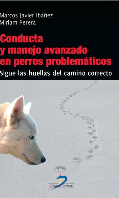 conducta-manejo-perros-problematicos