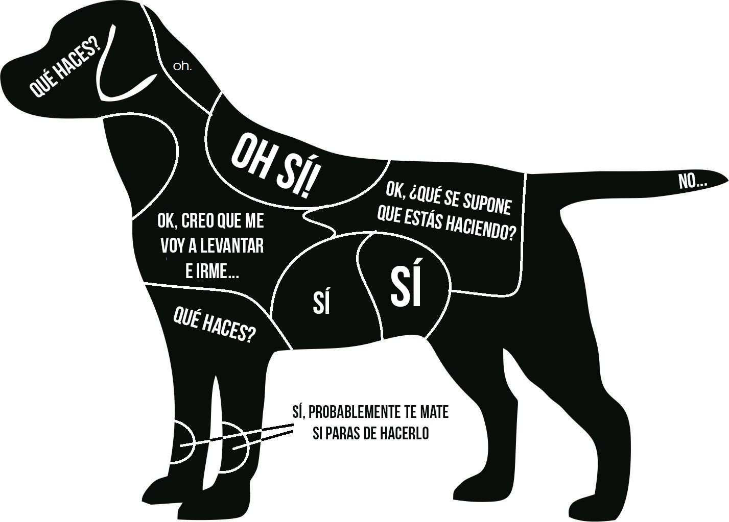 ¿Dónde acariciar a un perro?