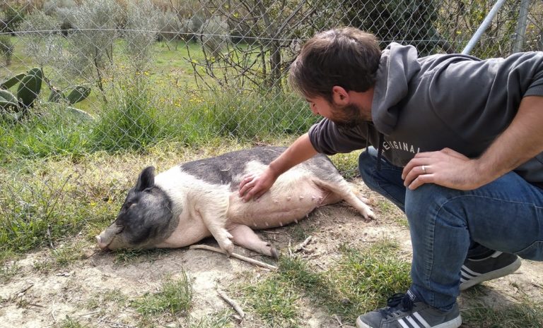 Dog Ventura 2021 - Javi+Peggy