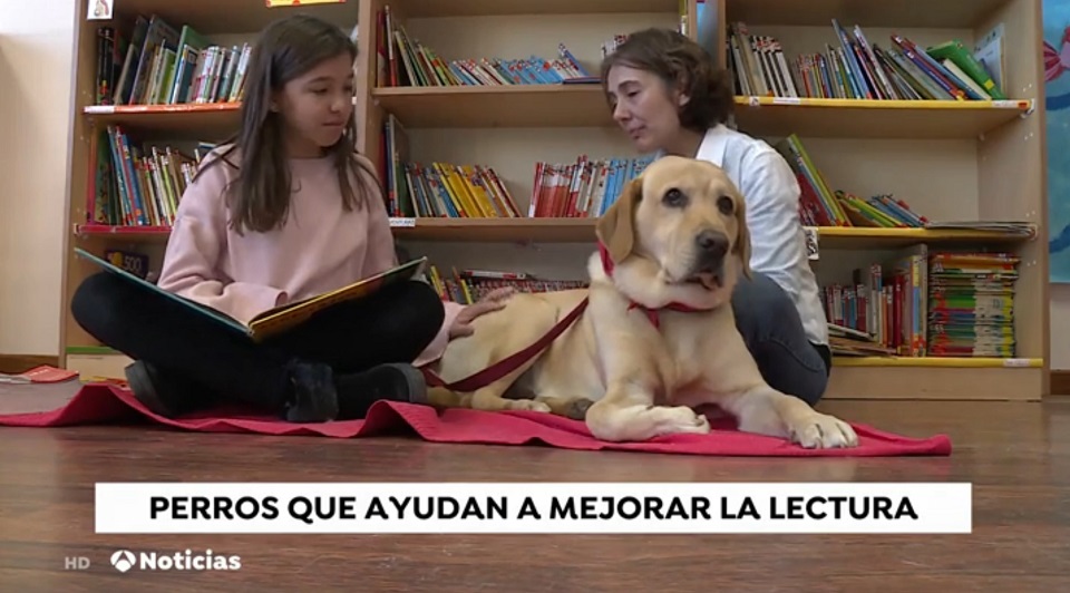 Perro y Letras | Proyecto R.E.A.D. España