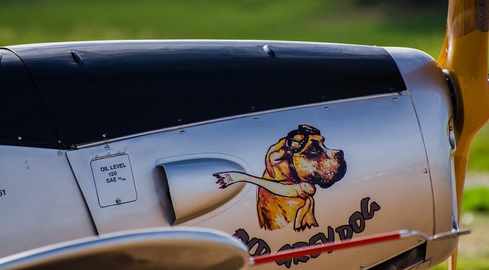 Cómo viajar con tu perro en avión