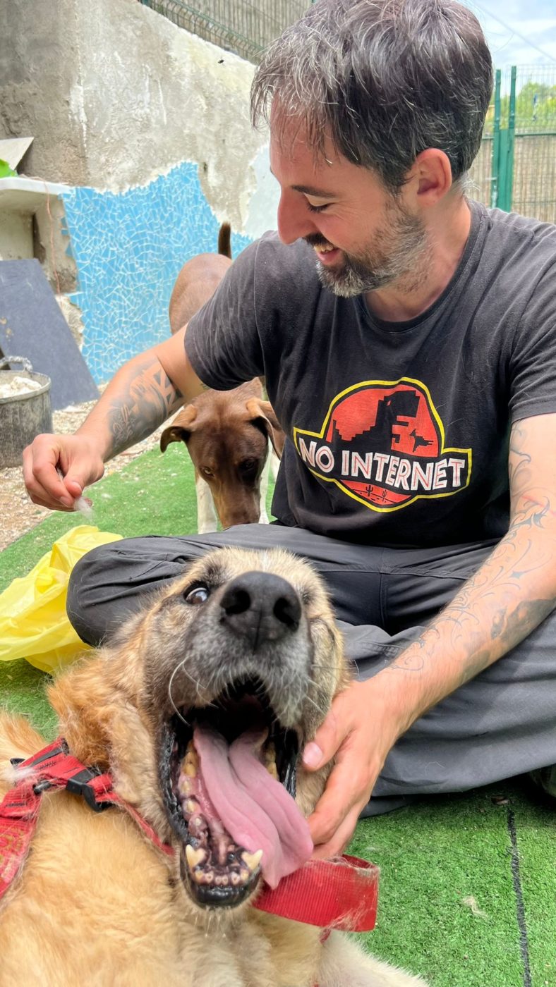 adiestramiento-canino-dog-ventura-strady-ares