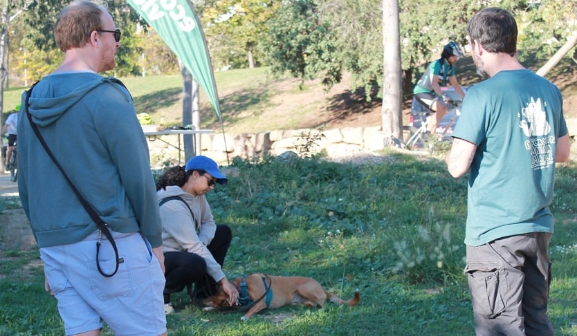 asesorias-caninas-barcelona-baix-llobregat-presenciales-dog-ventura-min