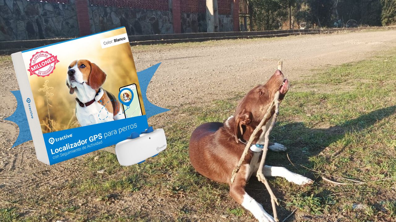 Este es el GPS para perros que le recomiendo a todo el mundo. Te aseguro que no existe una opción mejor en el mercado