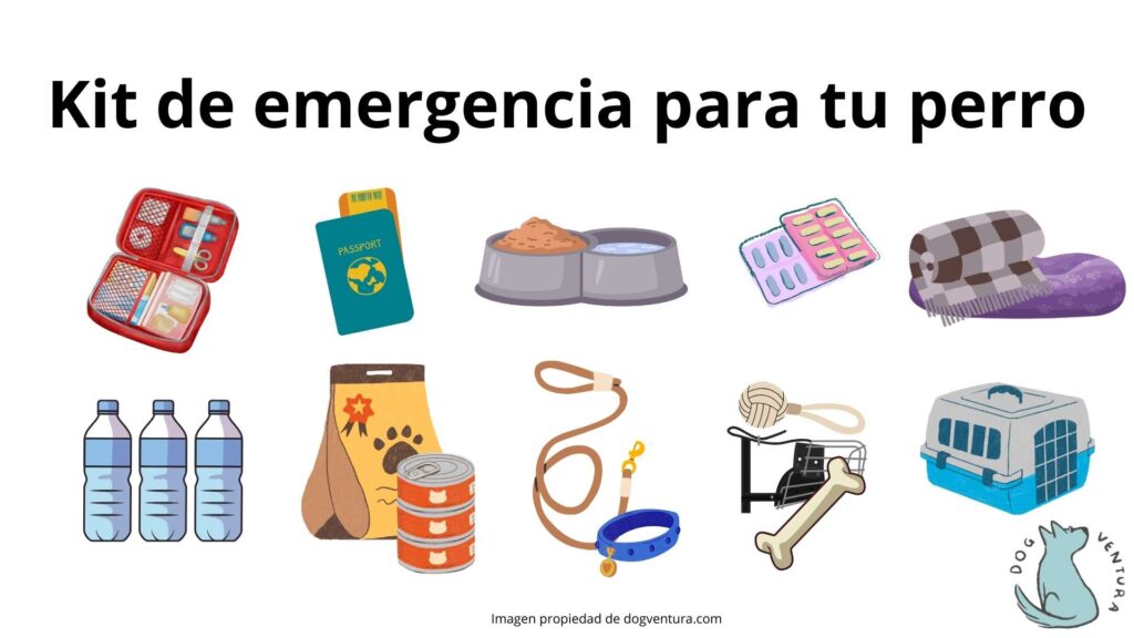 Kit de emergencias de 72h para tu perro