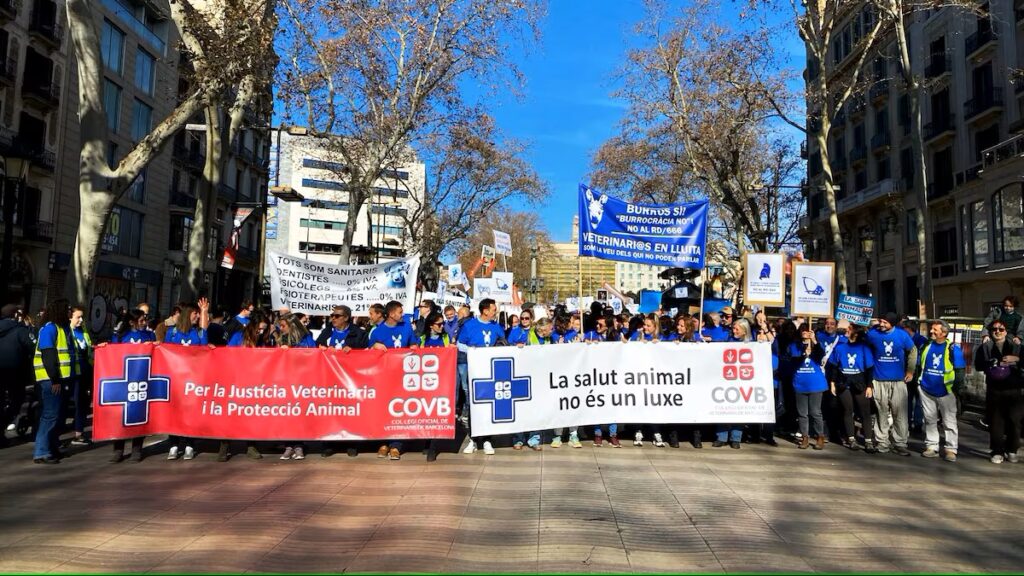 Manifestación veterinaria - Foto 1