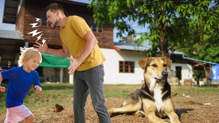 Cuáles son las señales de reactividad en un perro