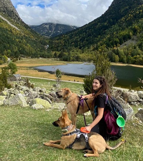 Ce_dogventura_contenido_online