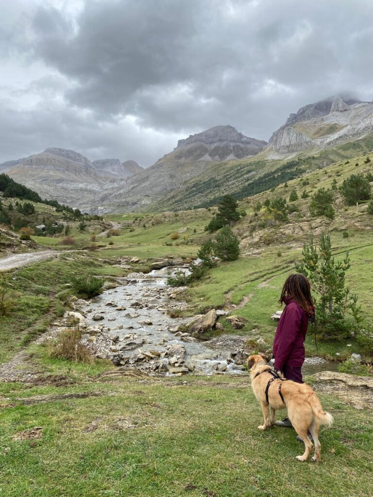 Ce_dogventura_contenido_online_2