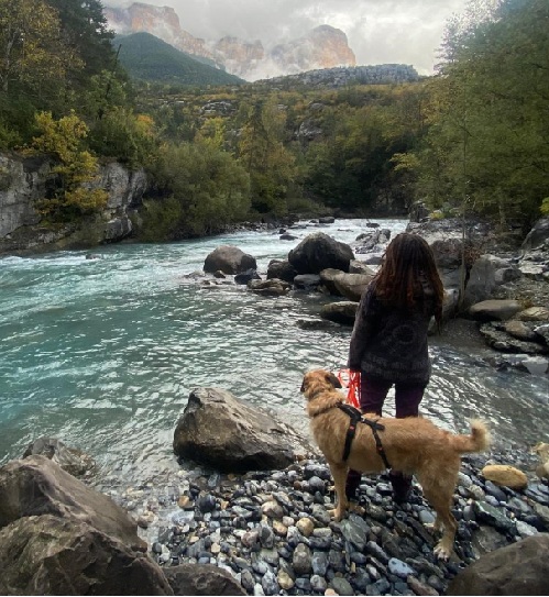 ce_dog_ventura_home_prensa_canina