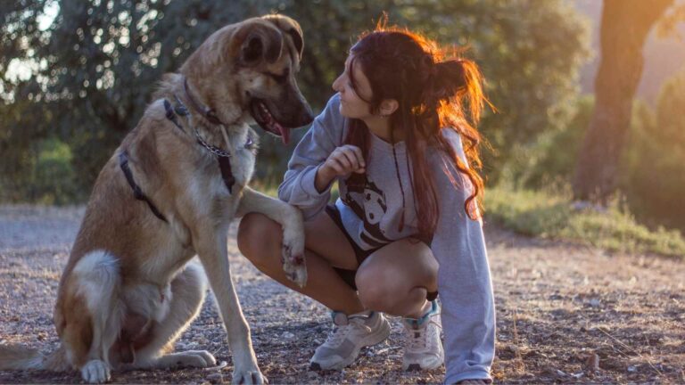 Ser casa de acogida de perros es más importante de lo que crees