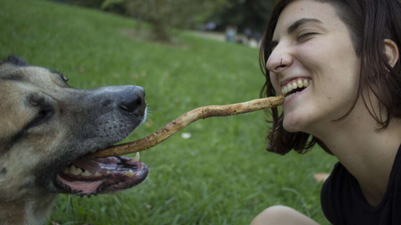 Por qué adoptar a un perro no es gratis_Shaki_Ce