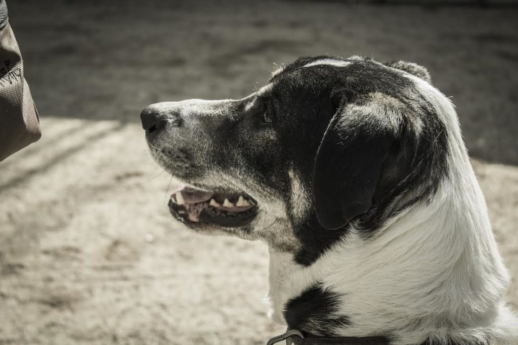 argos-trabajo-1024x682