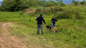 educacion_canina_biblio_ec_cole_canino_2