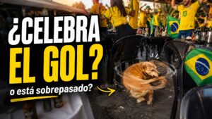 Perro gol Brasil conducta